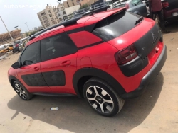 citroén cactus